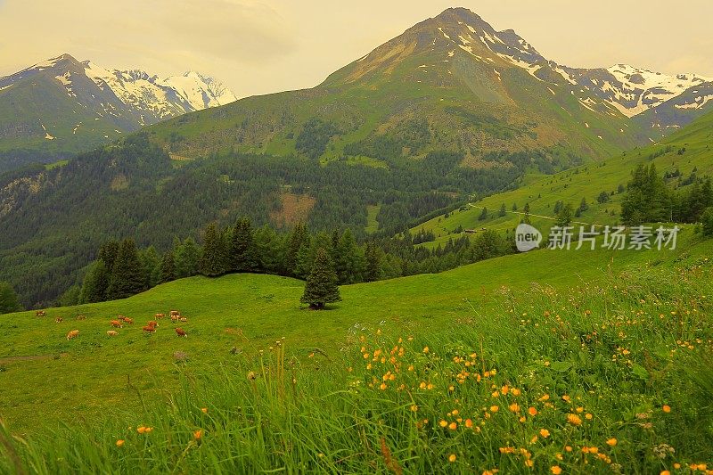 Hohe Tauern雪顶奥地利山脉-泰洛阿尔卑斯戏剧性的云景天空和景观和大格洛克纳山脉